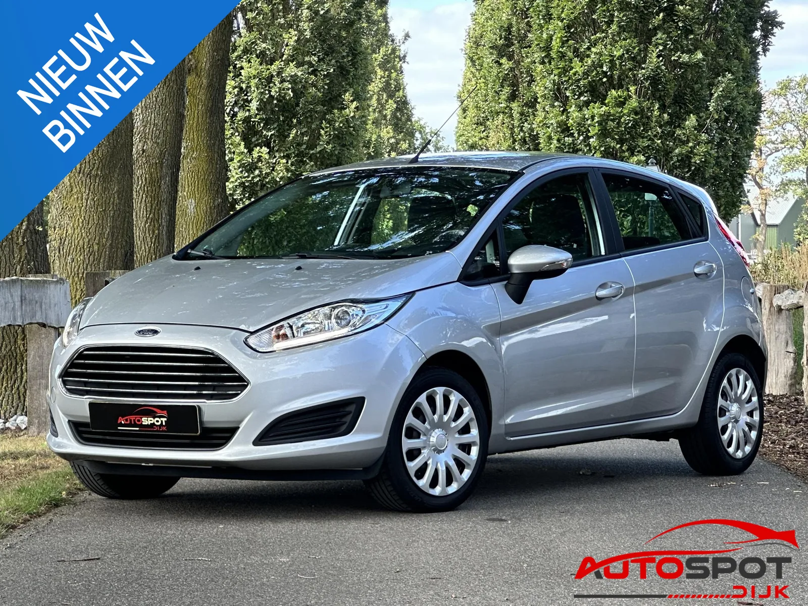 Ford Fiesta (2015) — foto 1