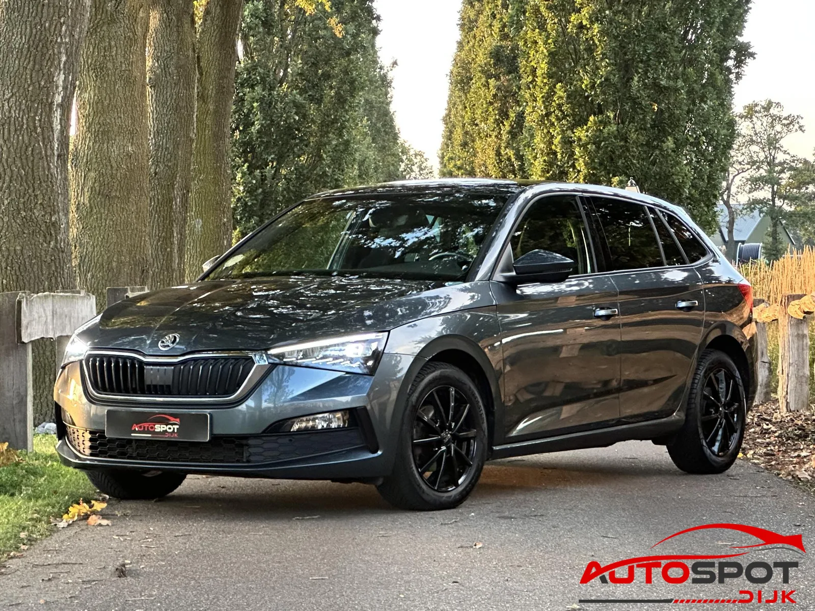 Škoda Scala (2019) — foto 1