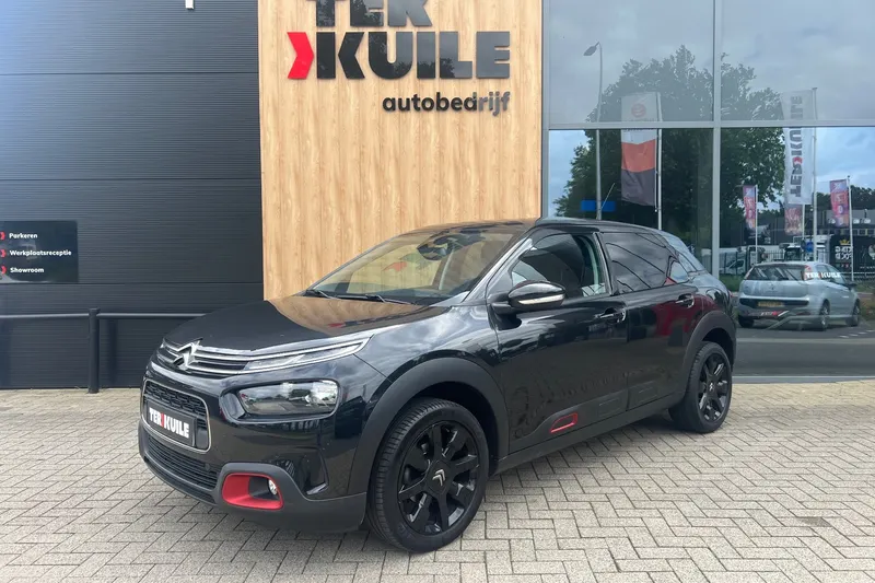 Citroën C4 Cactus (2019)