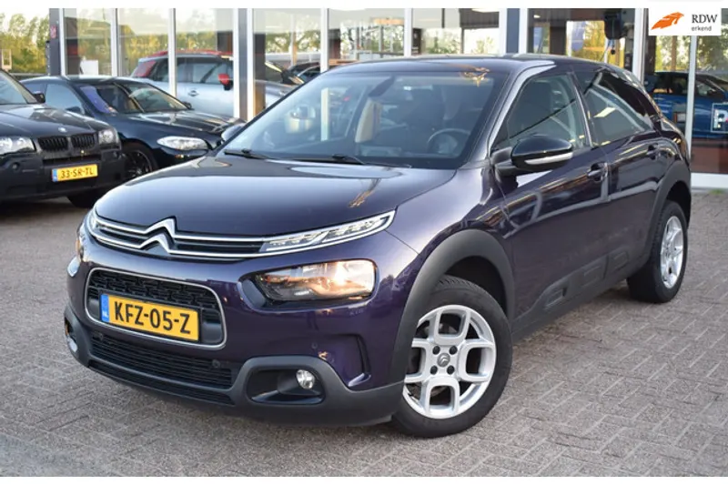 Citroën C4 Cactus (2019)