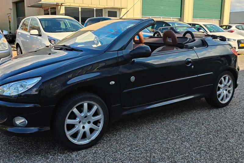 Peugeot 206 (2006)