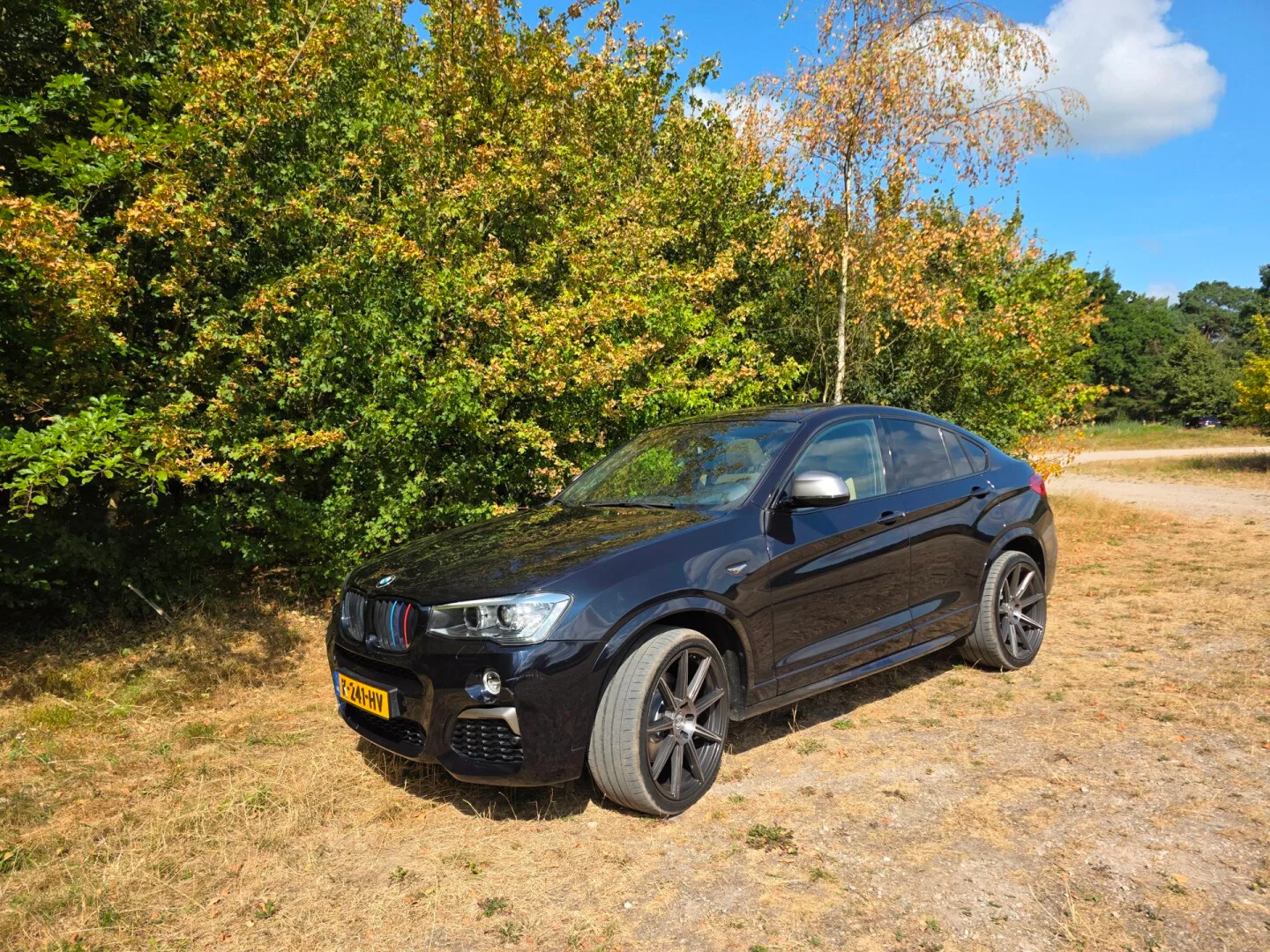BMW X4 (2017) — foto 1