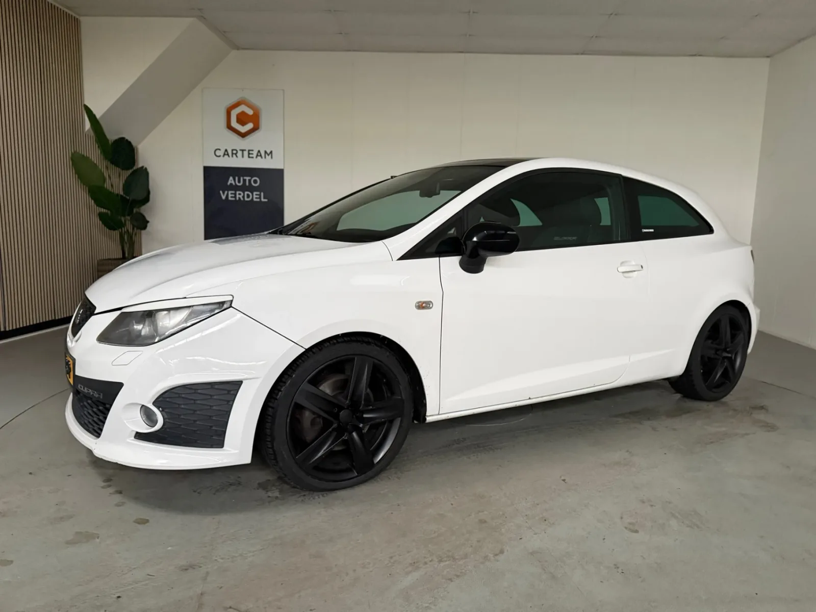 SEAT Ibiza (2010) — foto 1