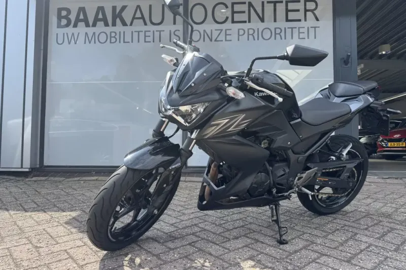Kawasaki Z300 (2016)