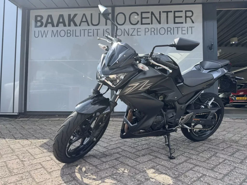 Kawasaki Z300 (2016) — foto 1