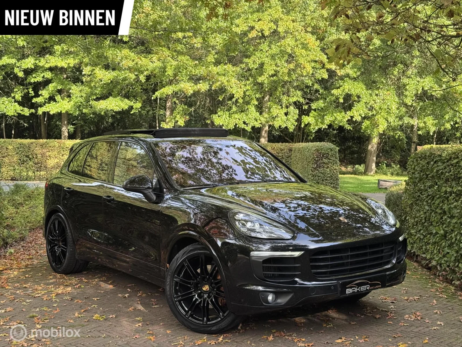 Porsche Cayenne (2015) — foto 1
