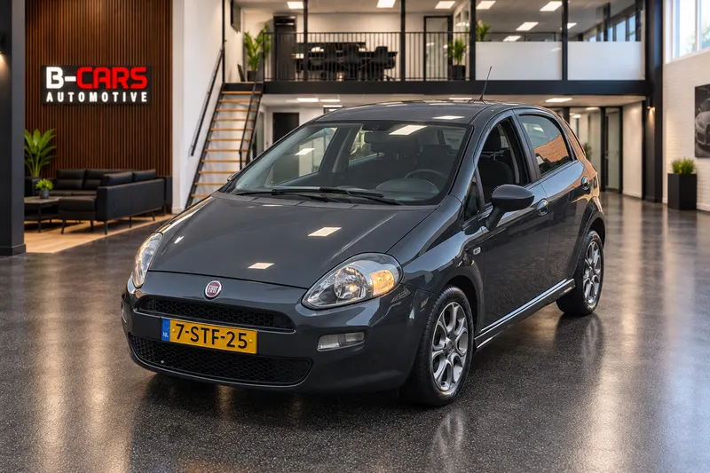Fiat Punto Evo (2013)