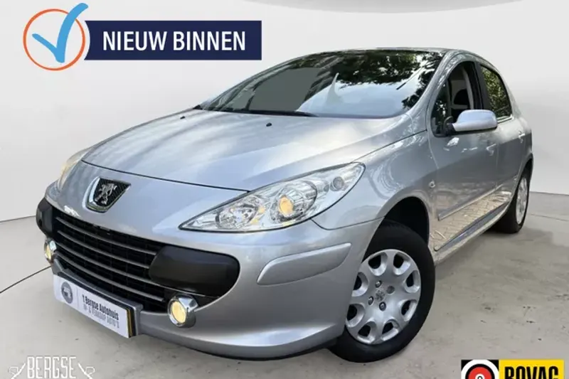Peugeot 307 (2006)