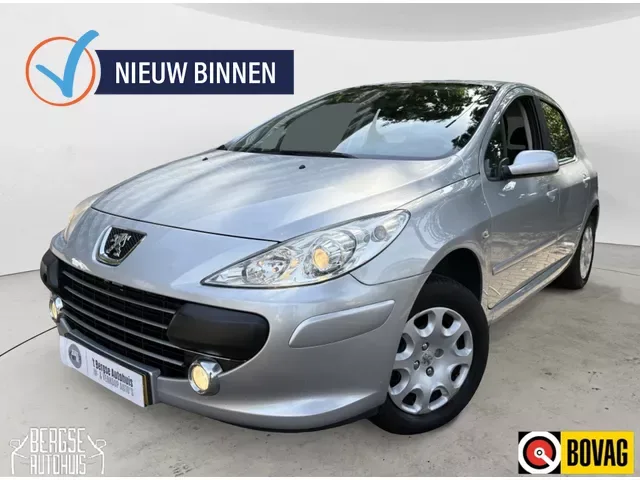 Peugeot 307 (2006) — foto 1
