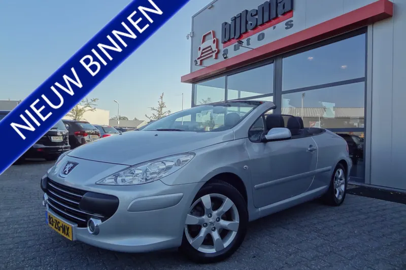 Peugeot 307 (2008)