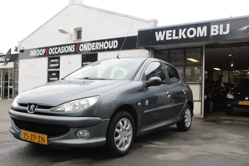Peugeot 206 (2008)