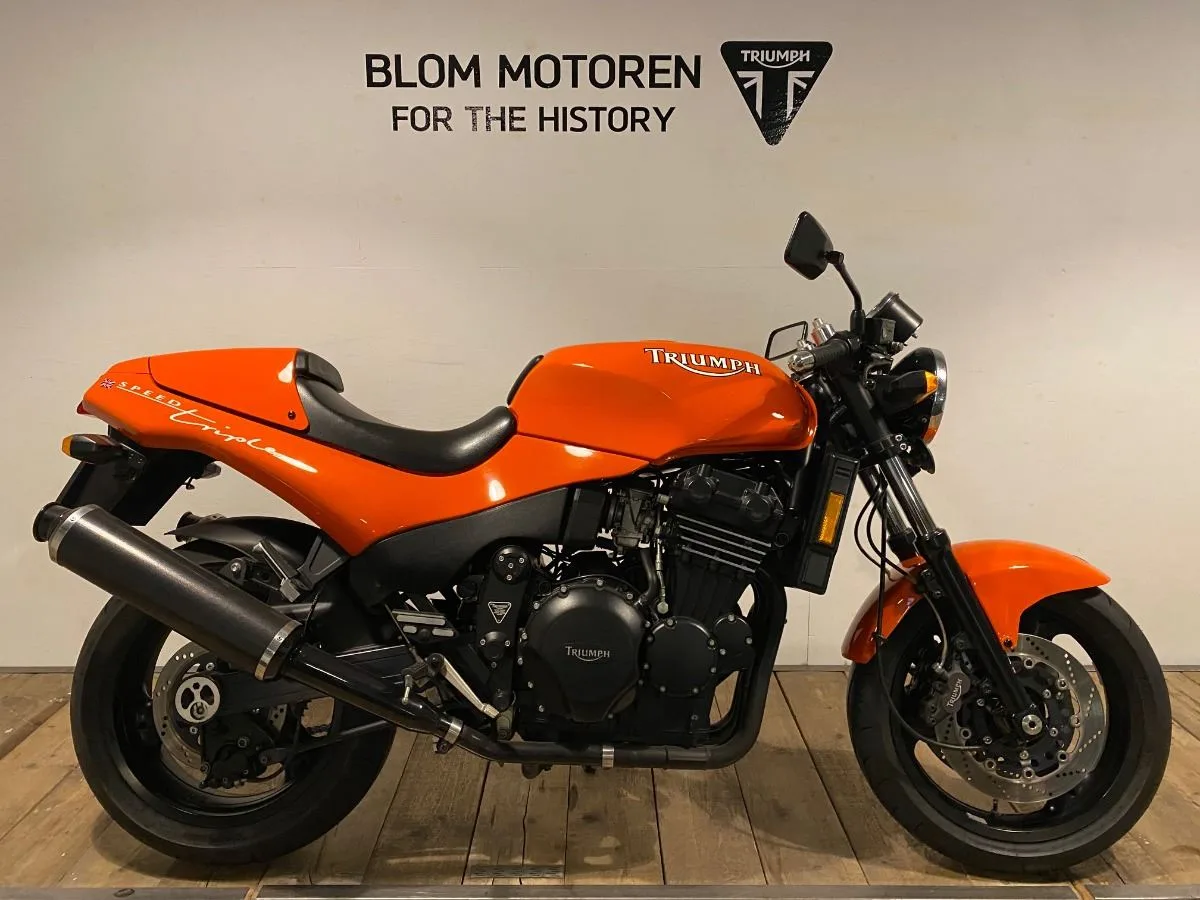 Triumph 1996 (1996) — foto 1