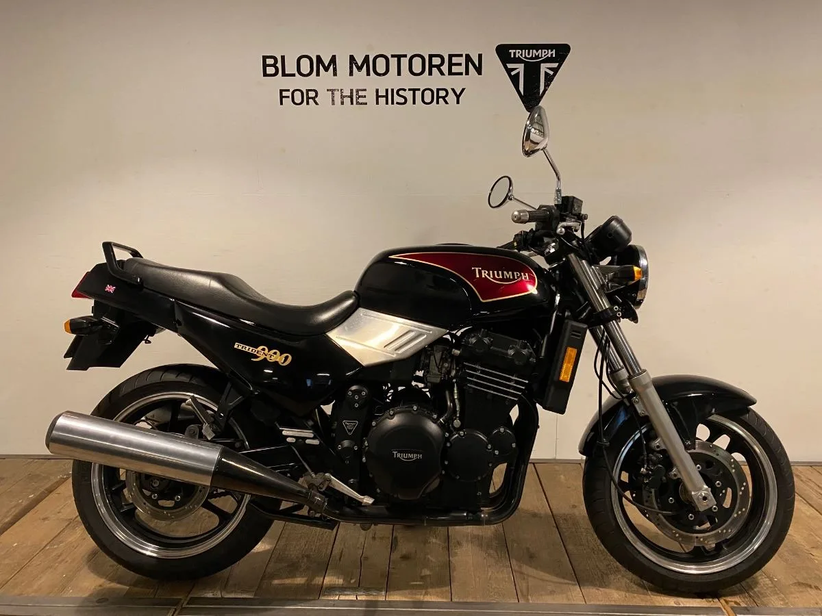 Triumph 1996 (1996) — foto 1