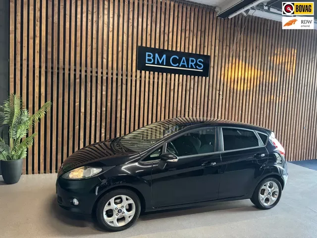 Ford Fiesta (2012) — foto 1