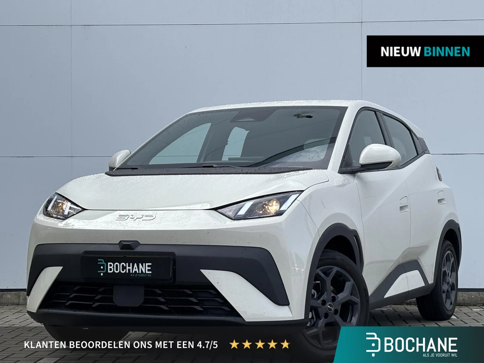BYD Dolphin (2026) — foto 1