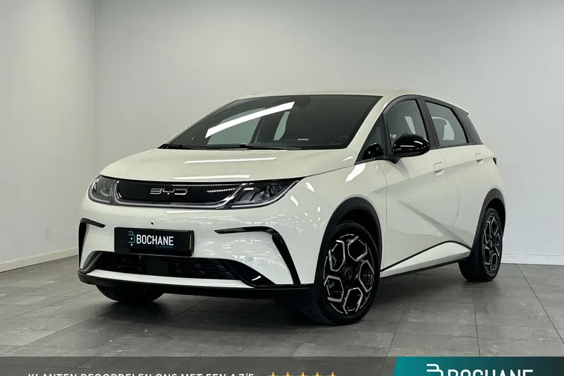 BYD Dolphin (2024)