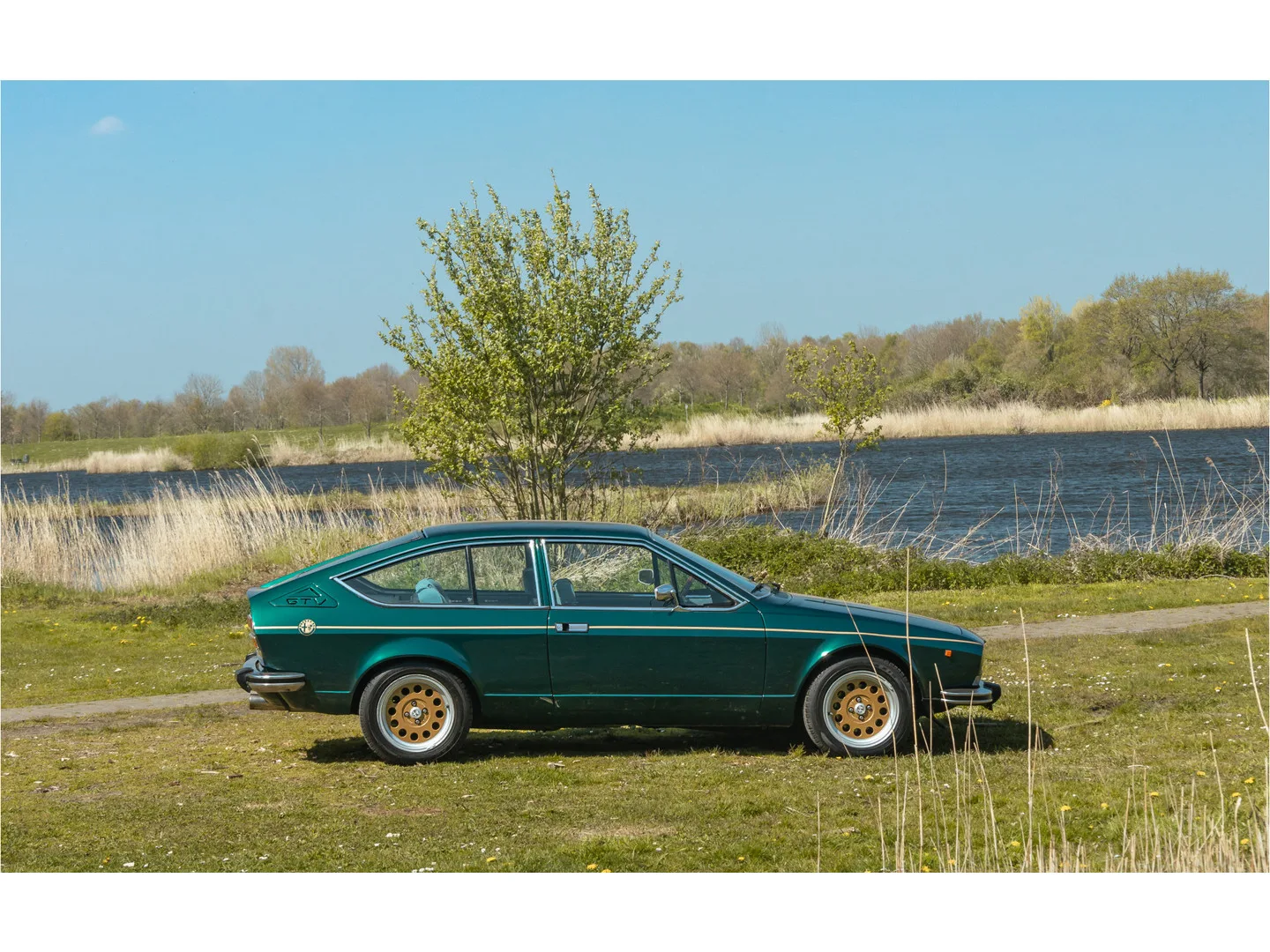 Alfa Romeo Alfetta (1979) — foto 1