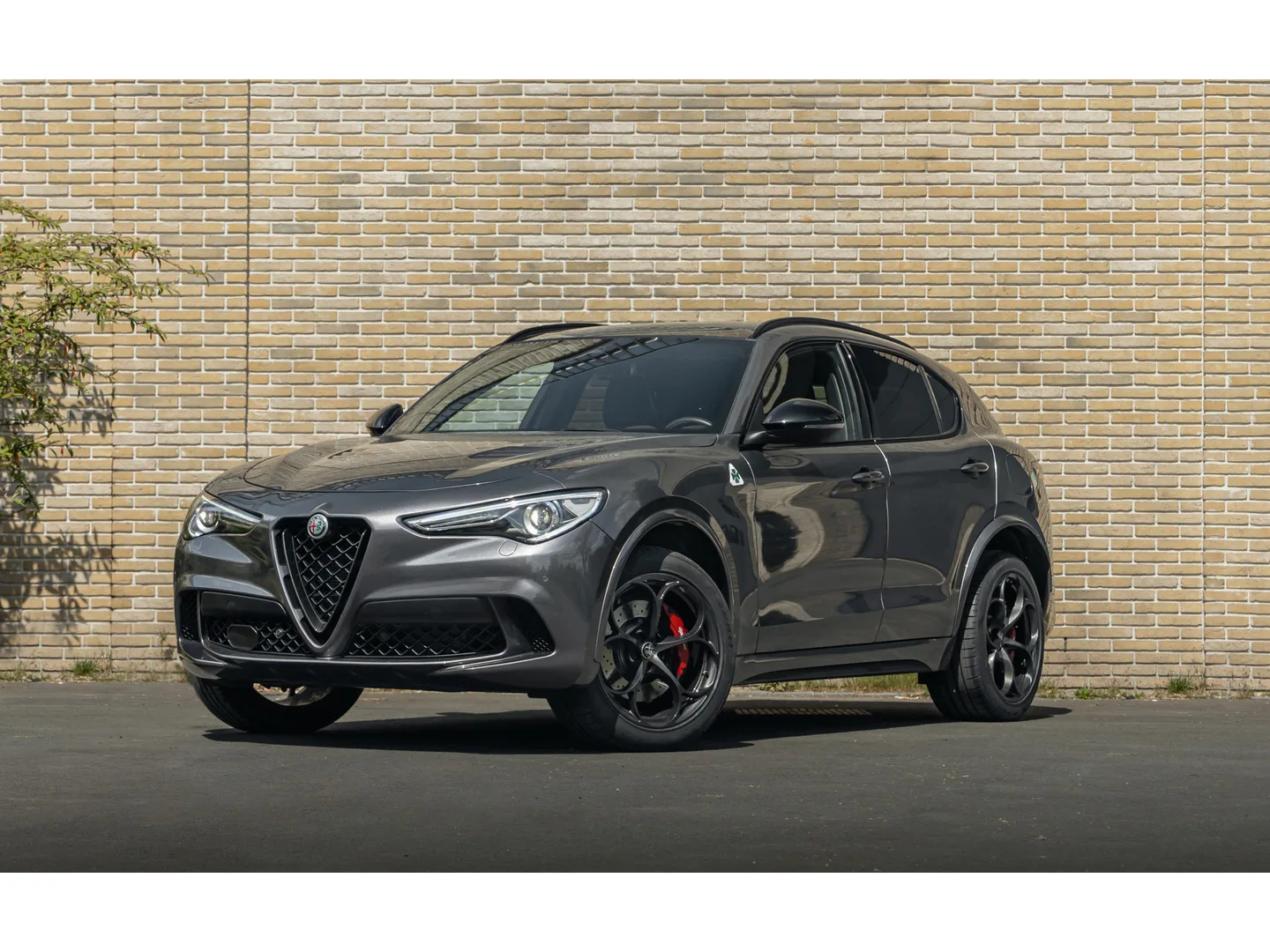 Alfa Romeo Stelvio (2022) — foto 1