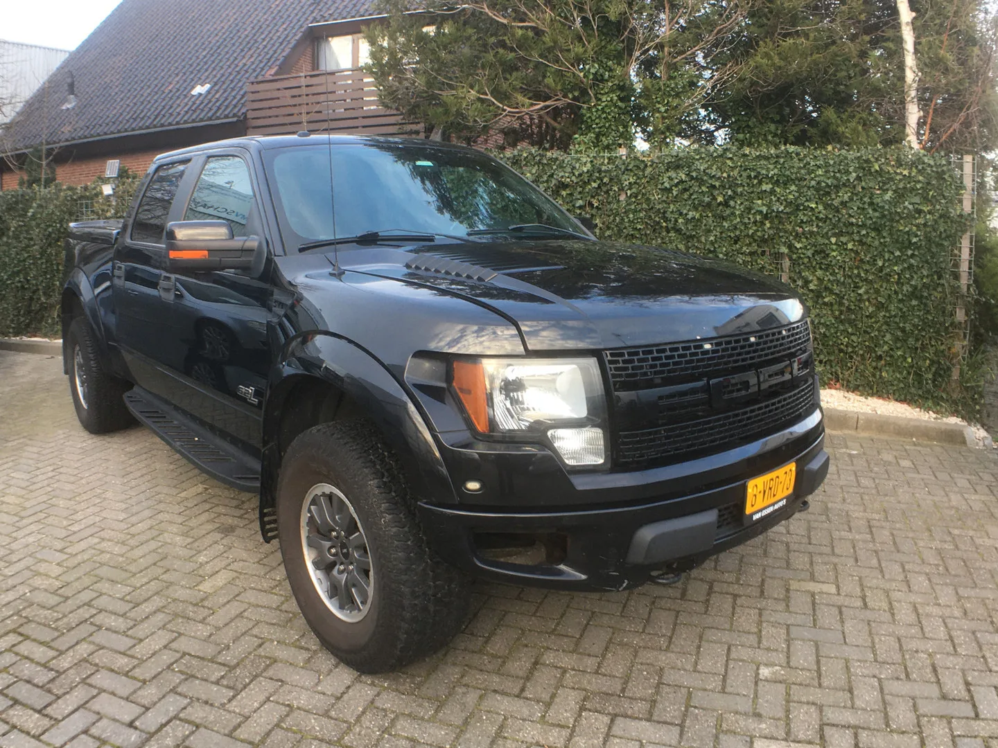 Ford F-150 (2011) — foto 1