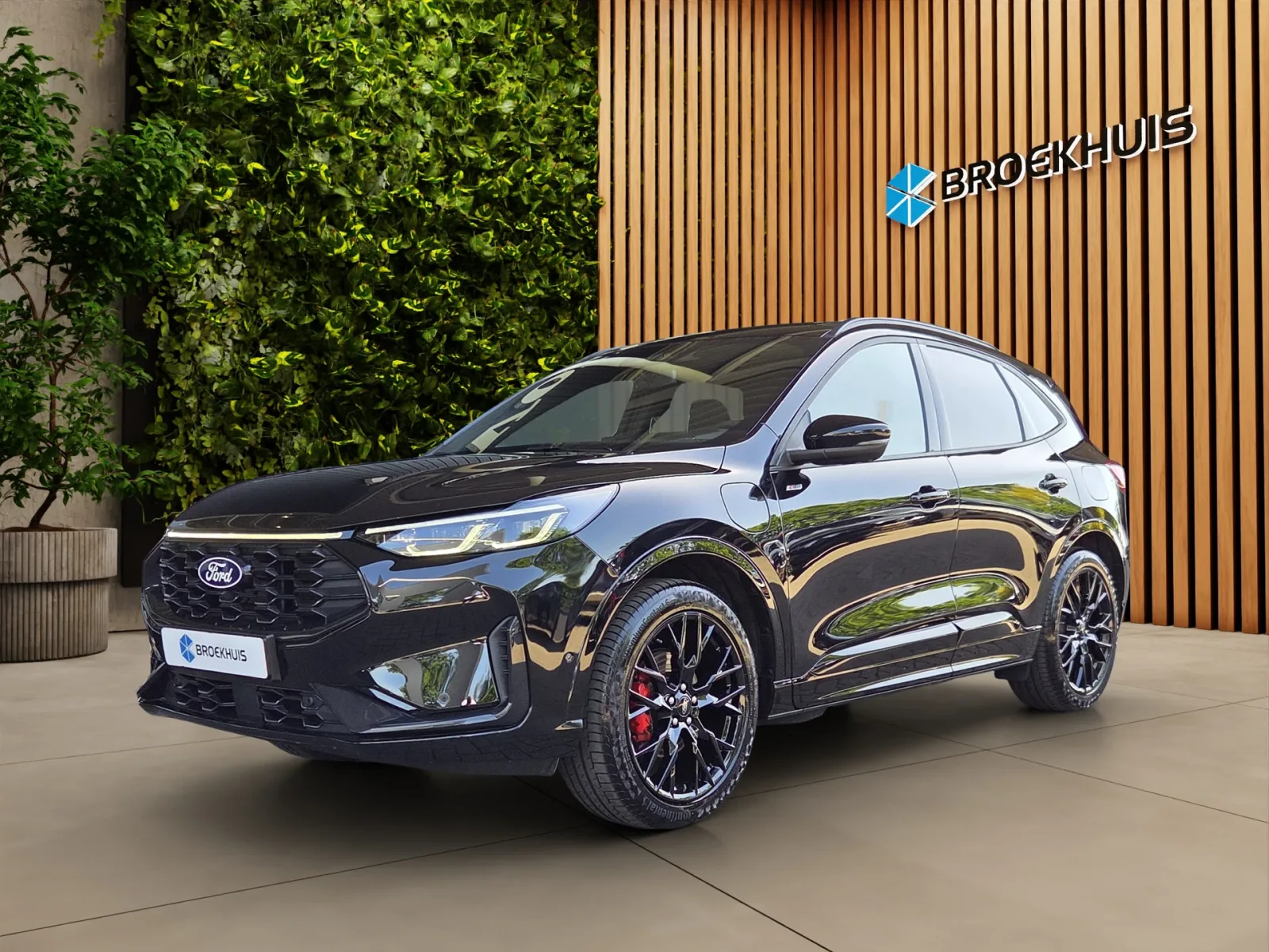 Ford Kuga (2024) — foto 1