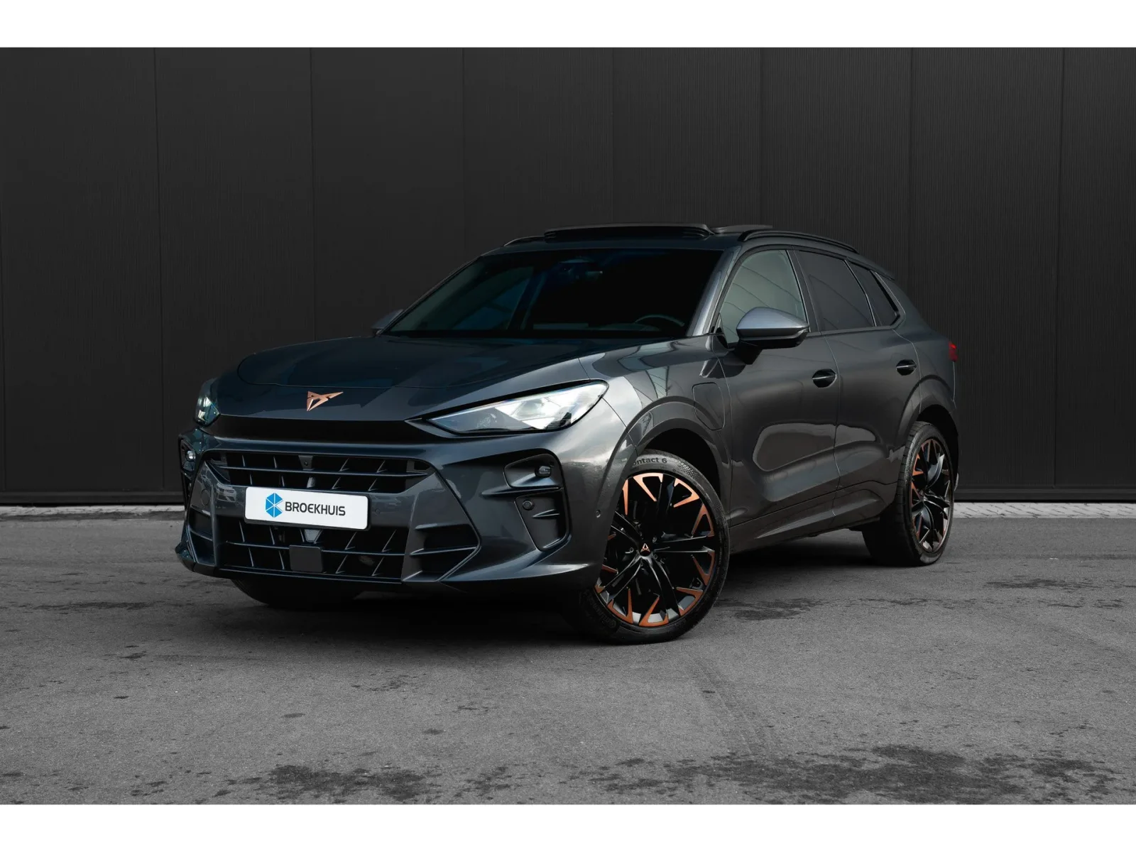 CUPRA Terramar (2025) — foto 1