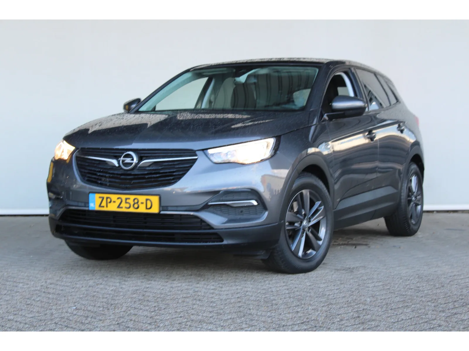 Opel Grandland (2019) — foto 1