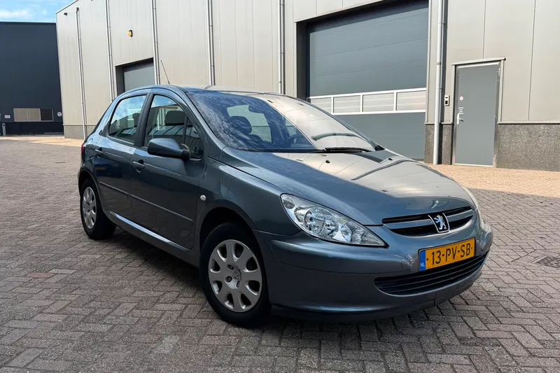 Peugeot 307 (2005)