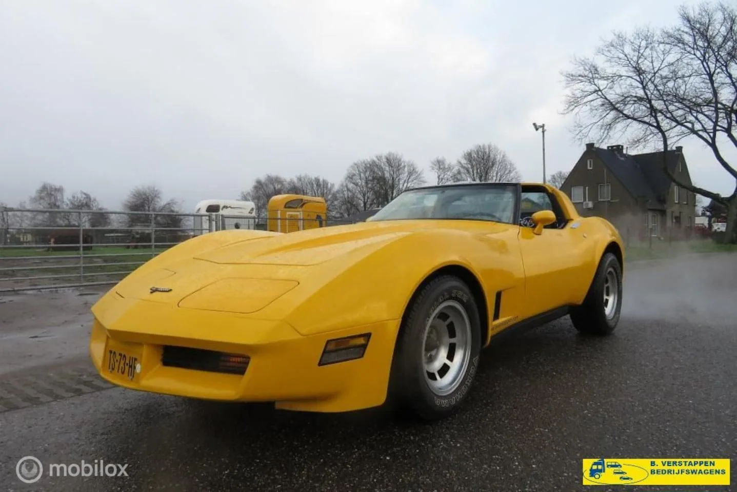 Chevrolet Corvette (1981) — foto 1