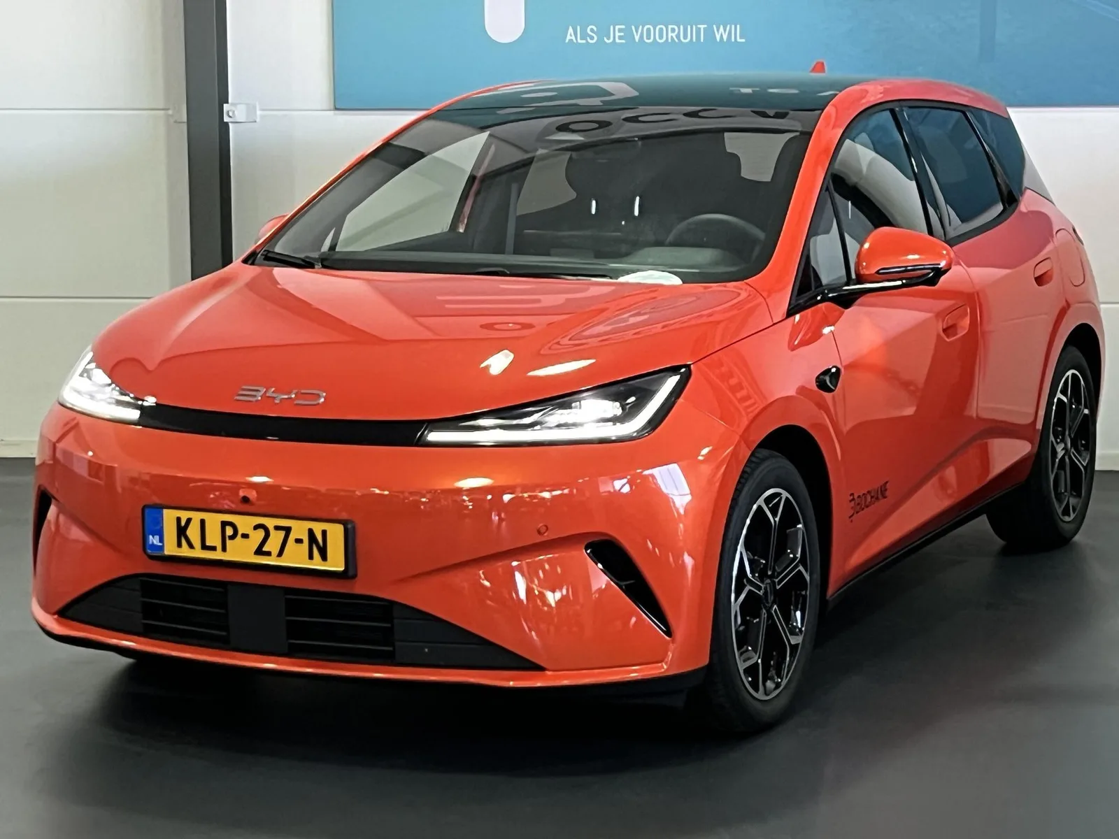 BYD Dolphin (2026) — foto 1