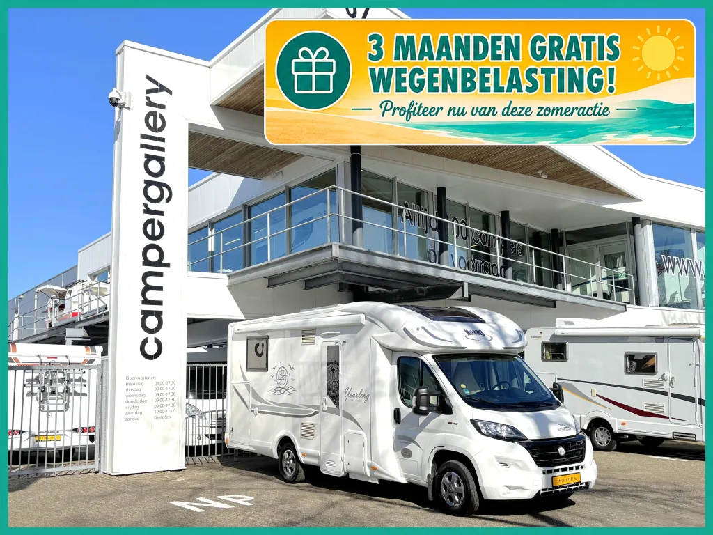 Mc Louis Yearling (2018) — foto 1