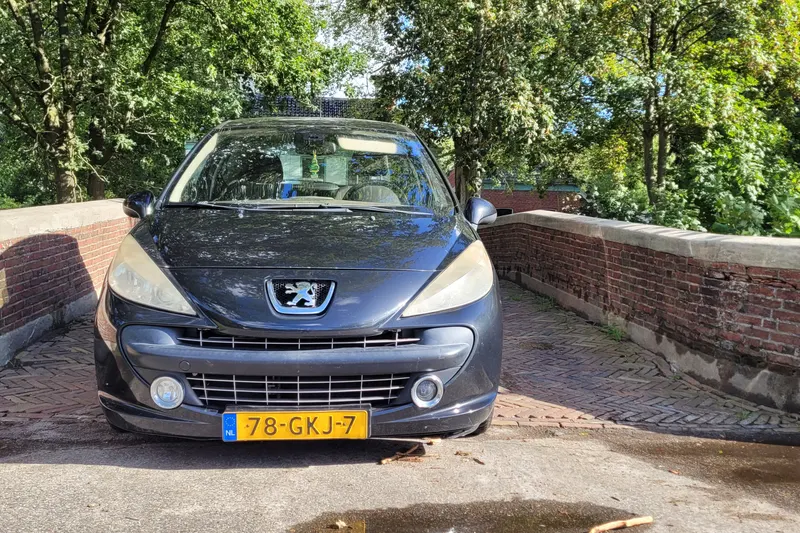 Peugeot 207 (2008)