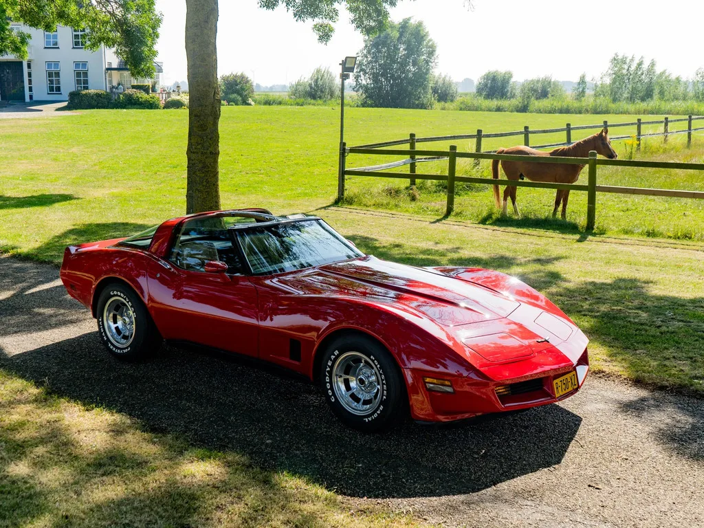 Chevrolet Corvette (1981) — foto 1