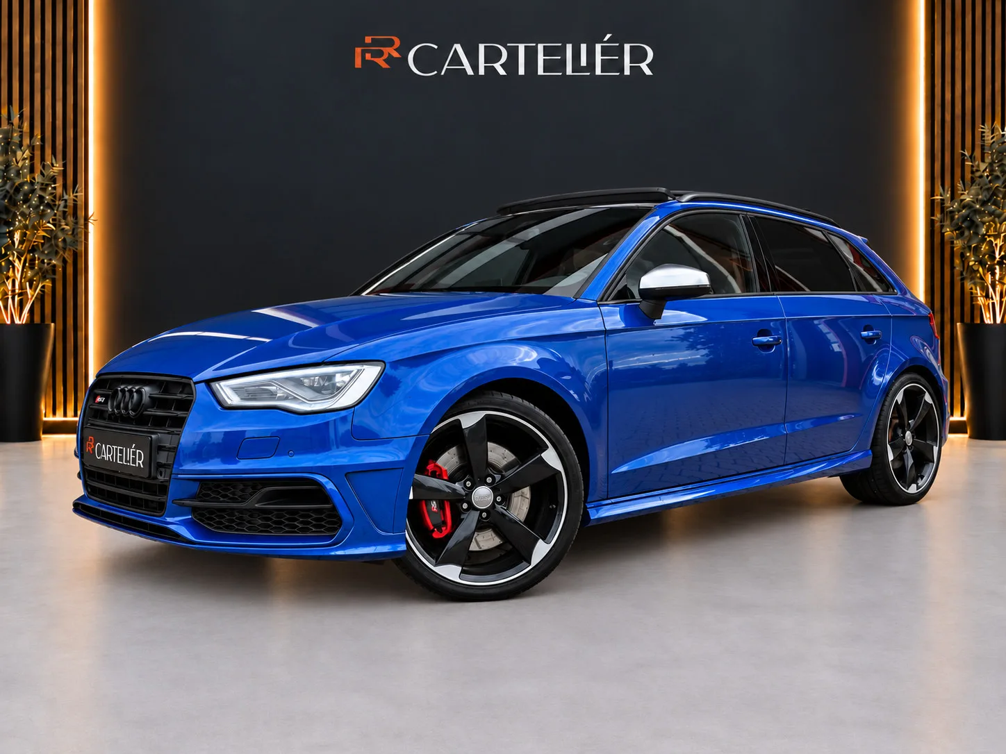 Audi S3 (2014) — foto 1
