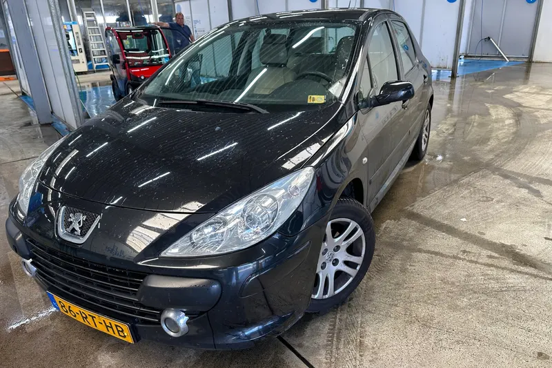 Peugeot 307 (2026)