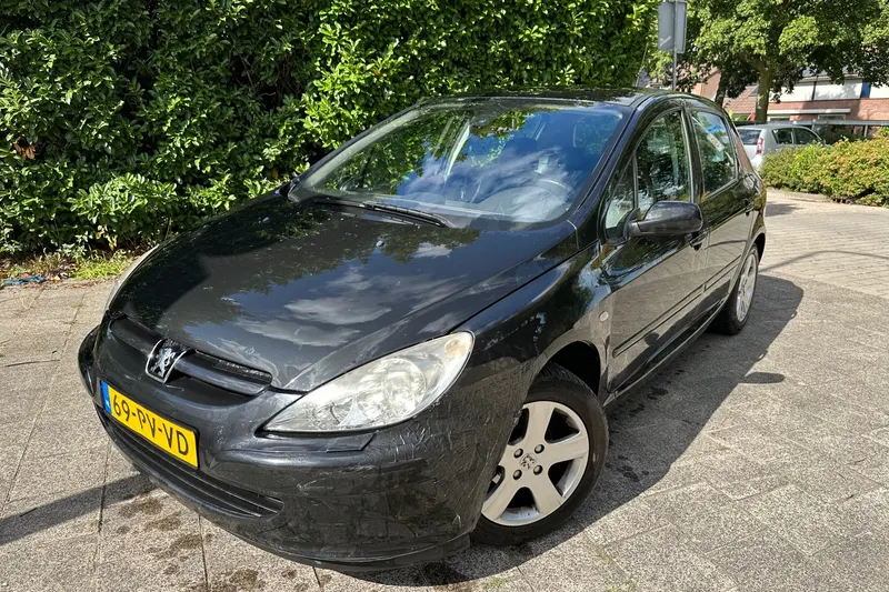 Peugeot 307 (2026)