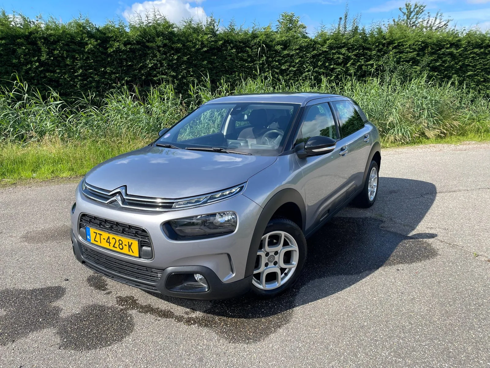 Citroën C4 Cactus (2019) — foto 1
