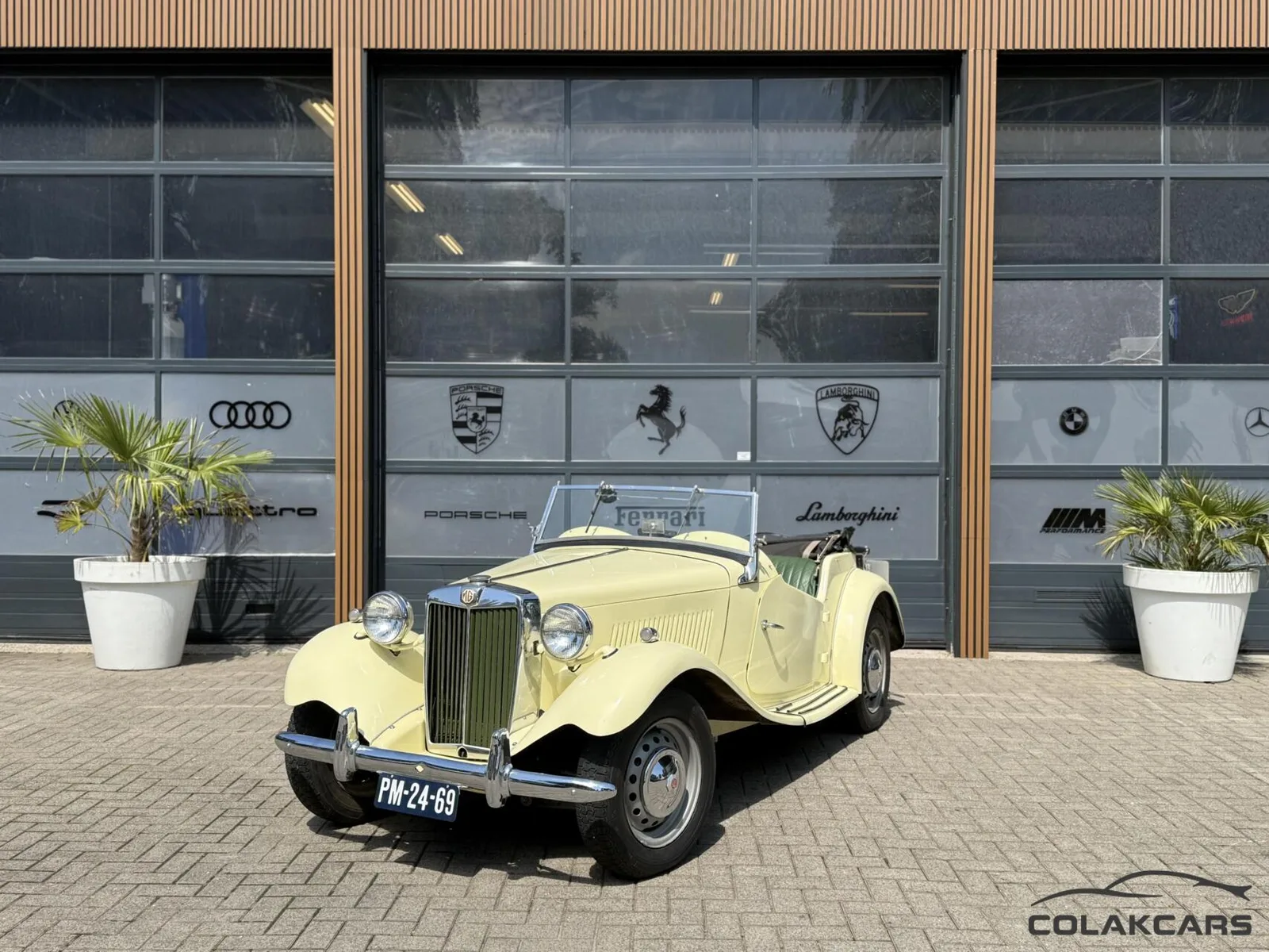MG TD (1951) — foto 1