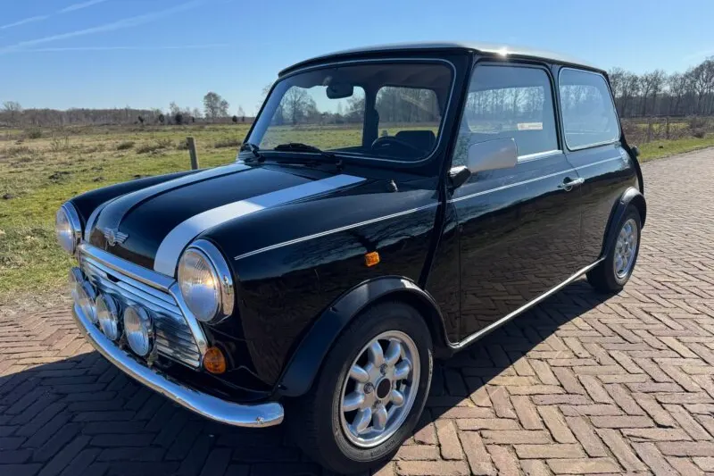 Rover Cooper (1991)
