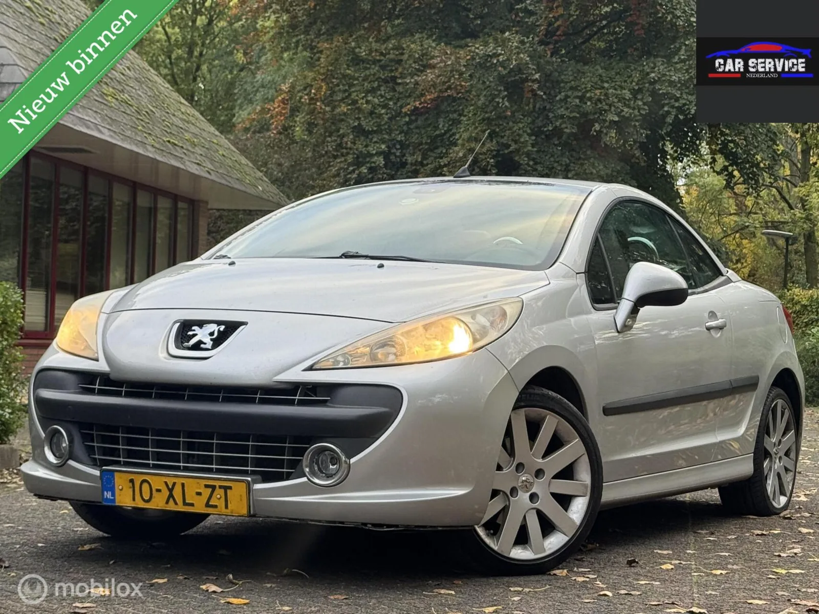 Peugeot 207 (2007) — foto 1