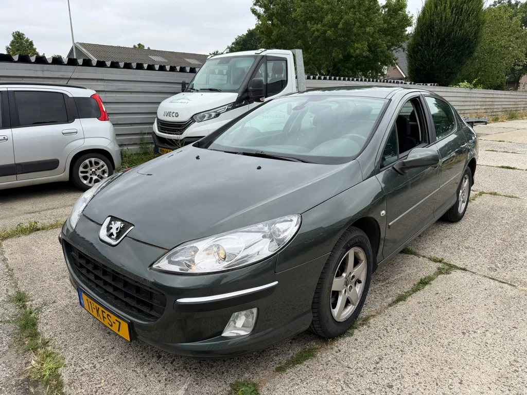 Peugeot 407 (2009) — foto 1
