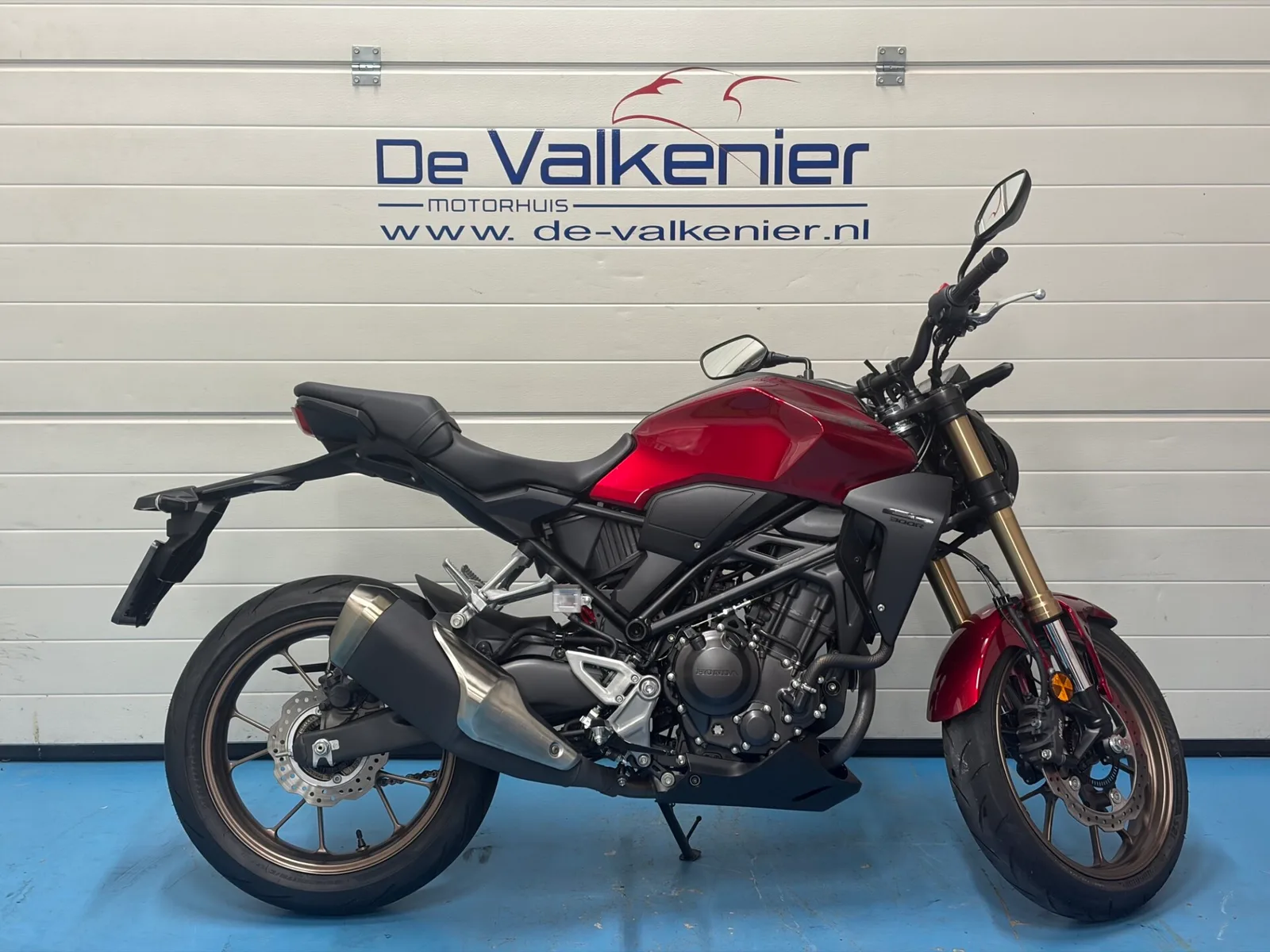 Honda CB300R (2024) — foto 1