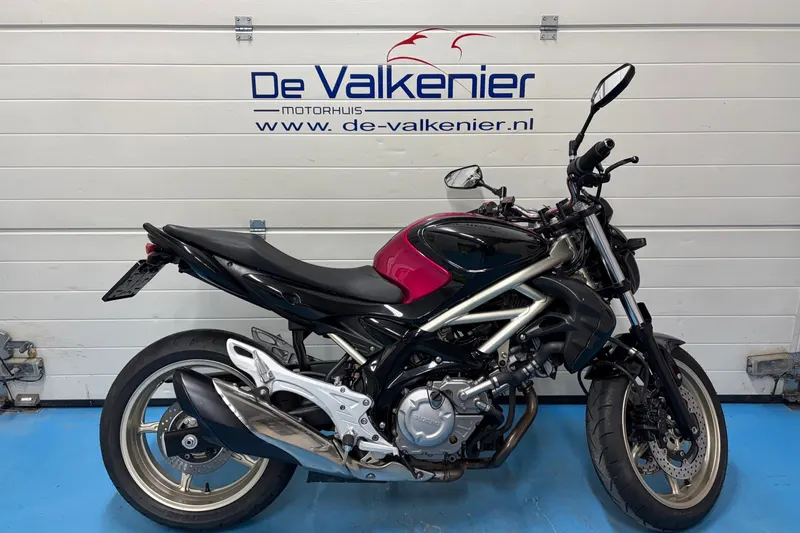 Suzuki Gladius 650 (2009)