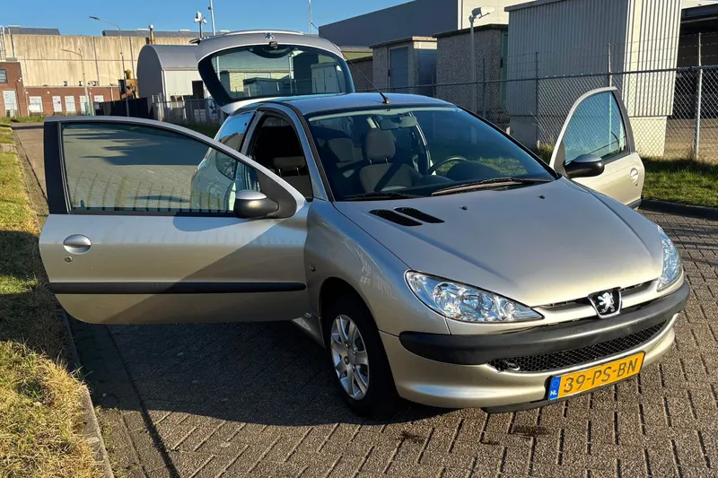 Peugeot 206 (2004)