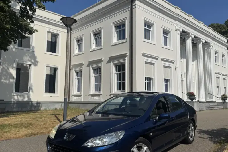 Peugeot 407 (2007)