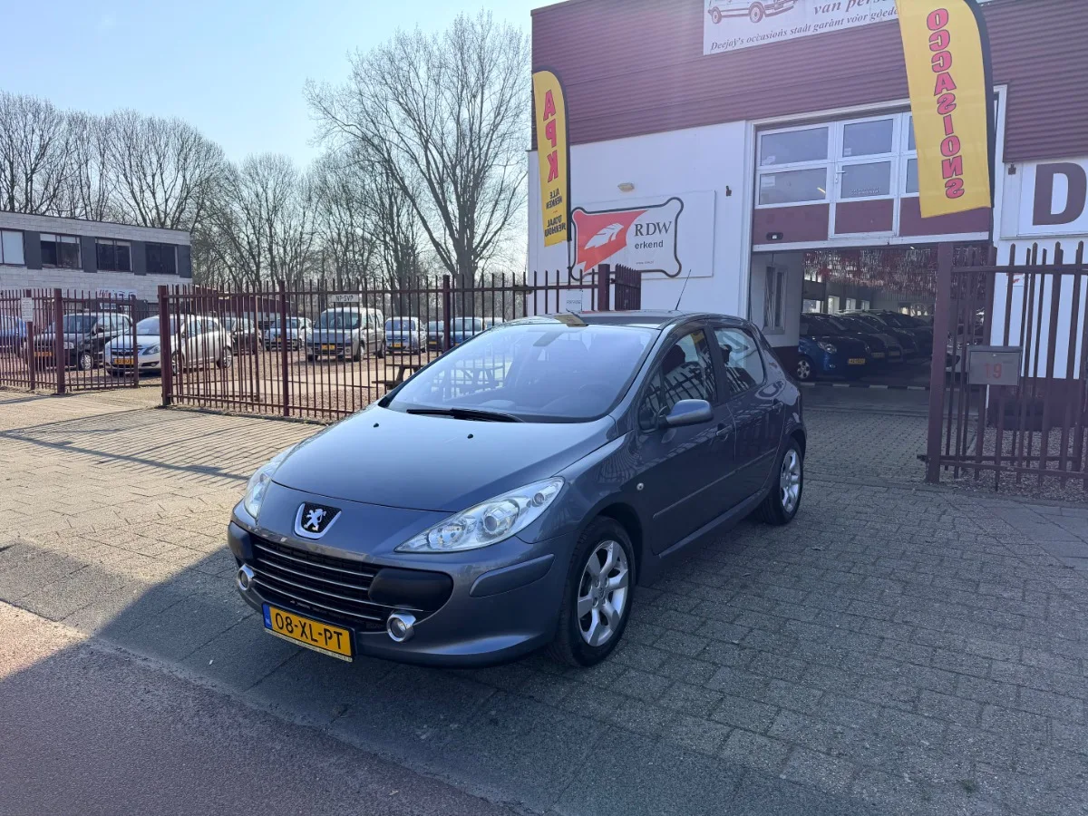 Peugeot 307 (2007) — foto 1