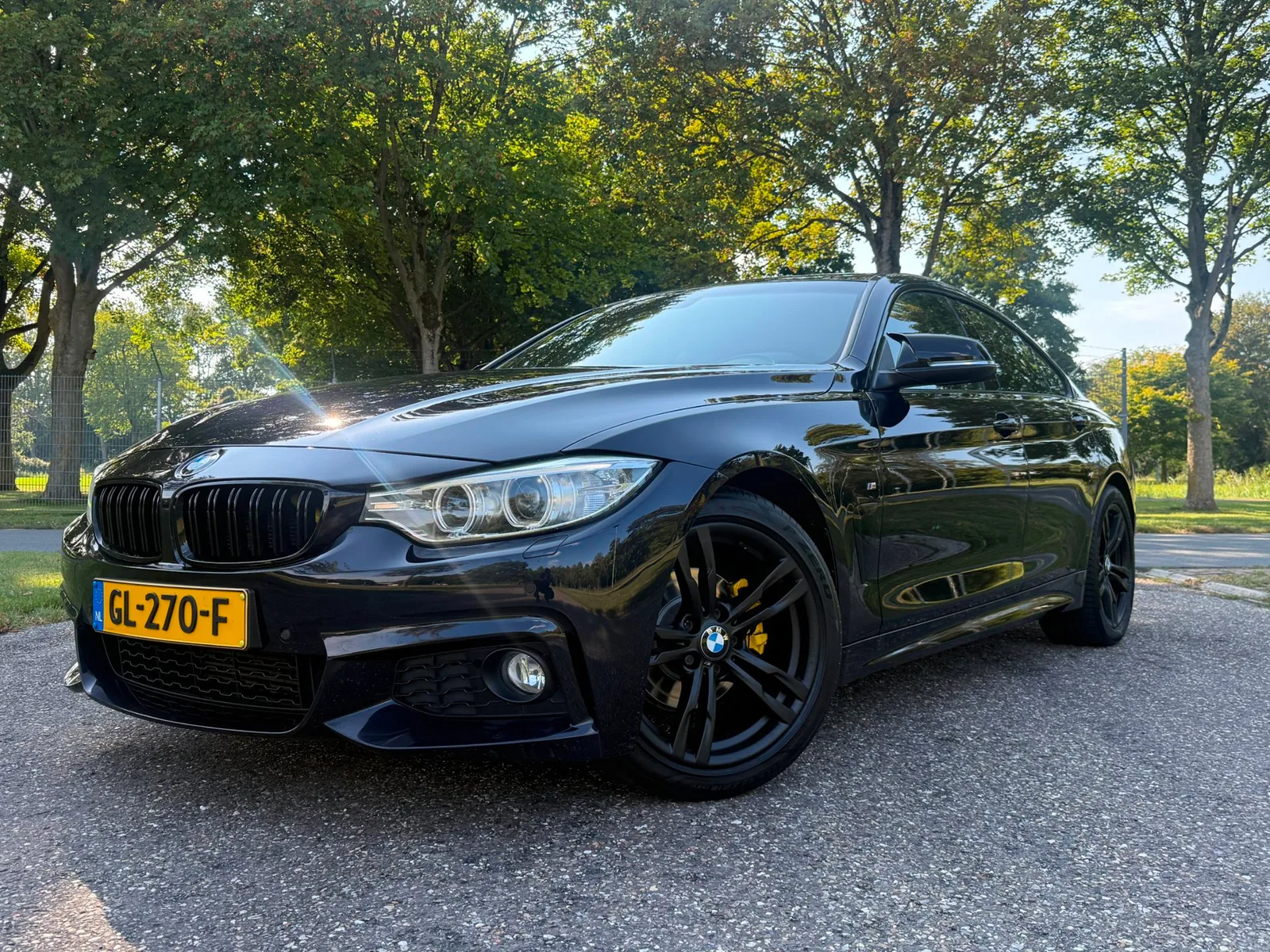 BMW 4-Serie Gran Coupé (2015) — foto 1