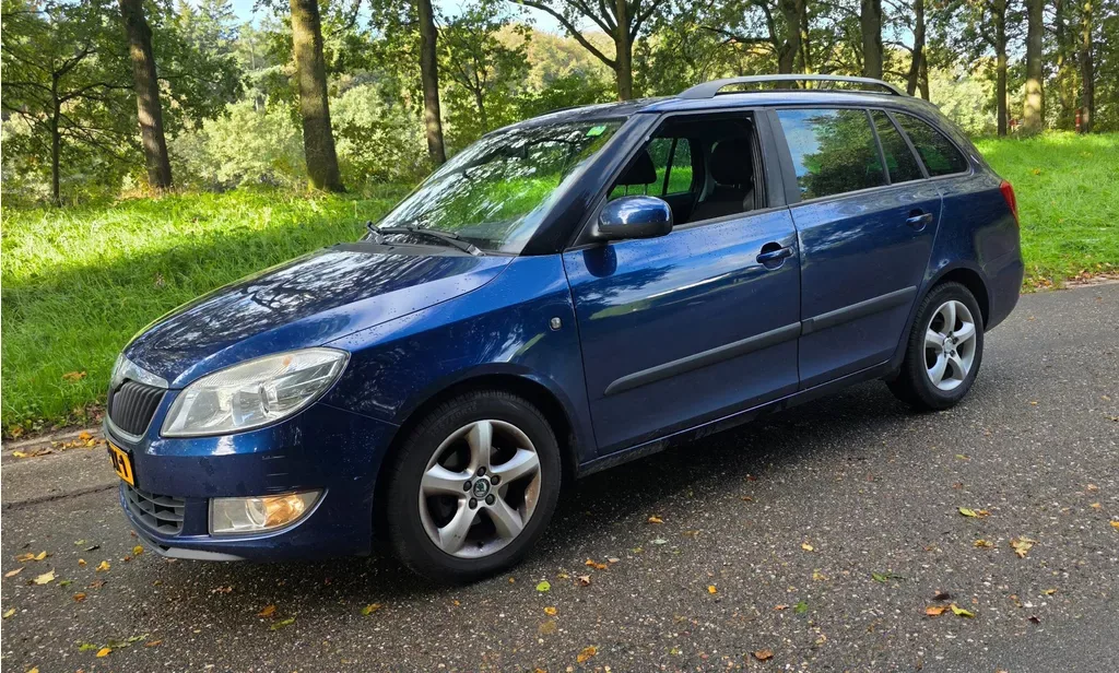 Škoda Fabia (2010) — foto 1