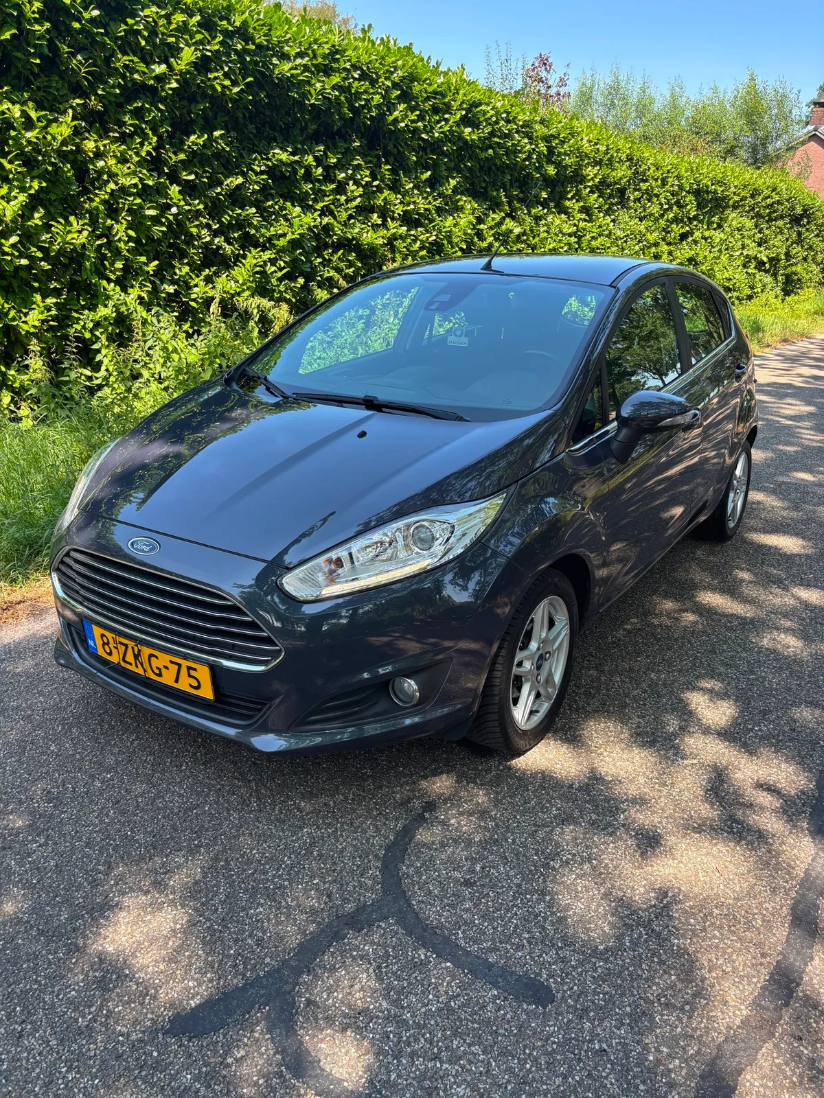 Ford Fiesta (2015) — foto 1