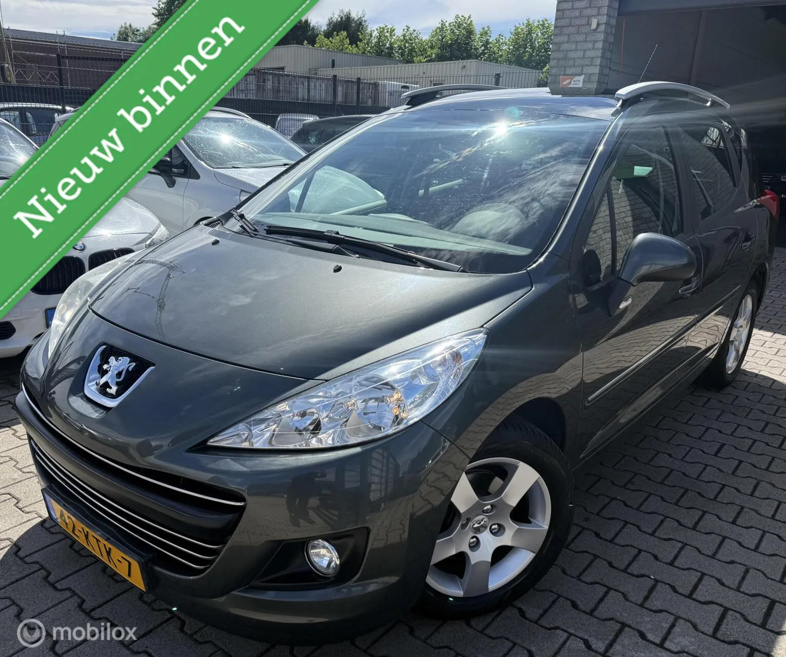 Peugeot 207 (2010) — foto 1