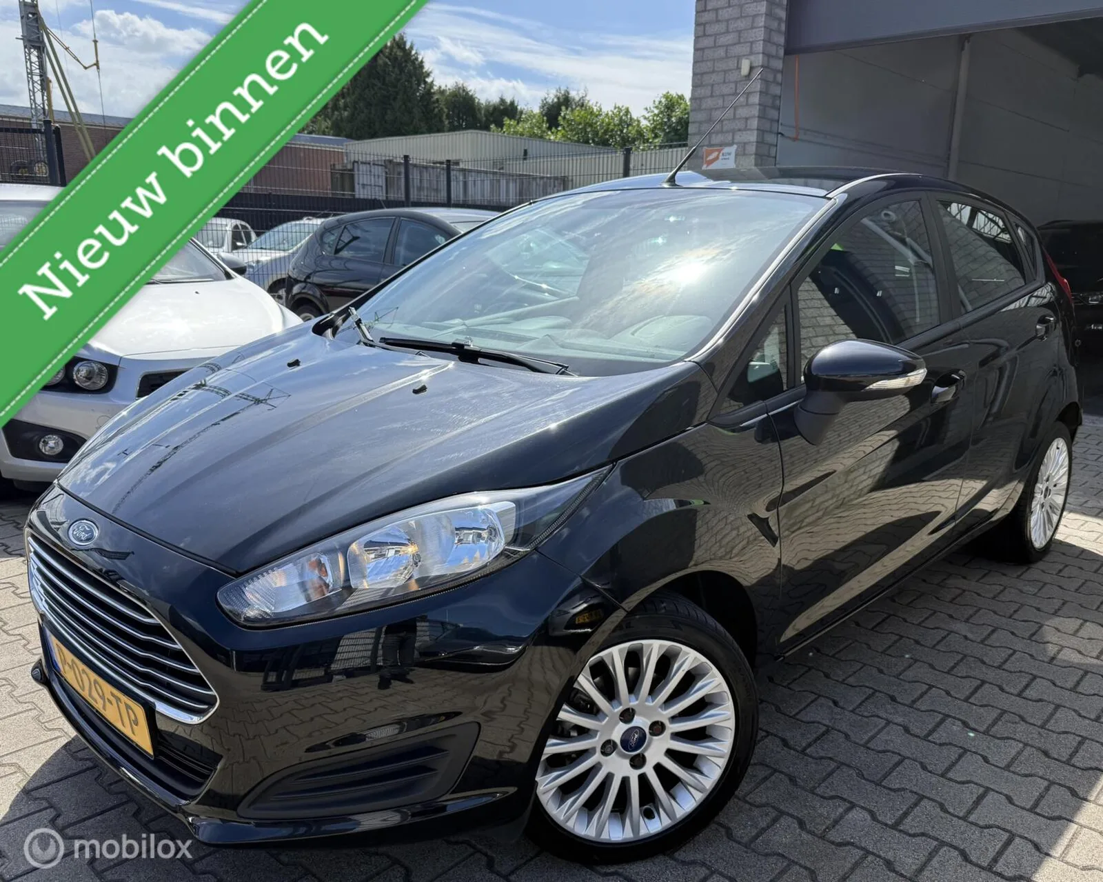 Ford Fiesta (2013) — foto 1